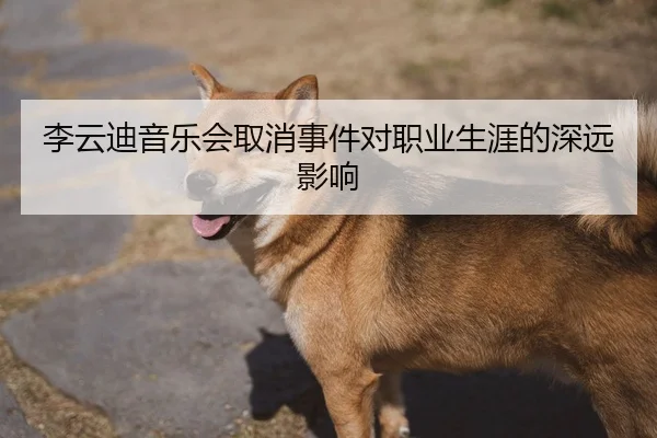 李云迪音乐会取消事件对职业生涯的深远影响